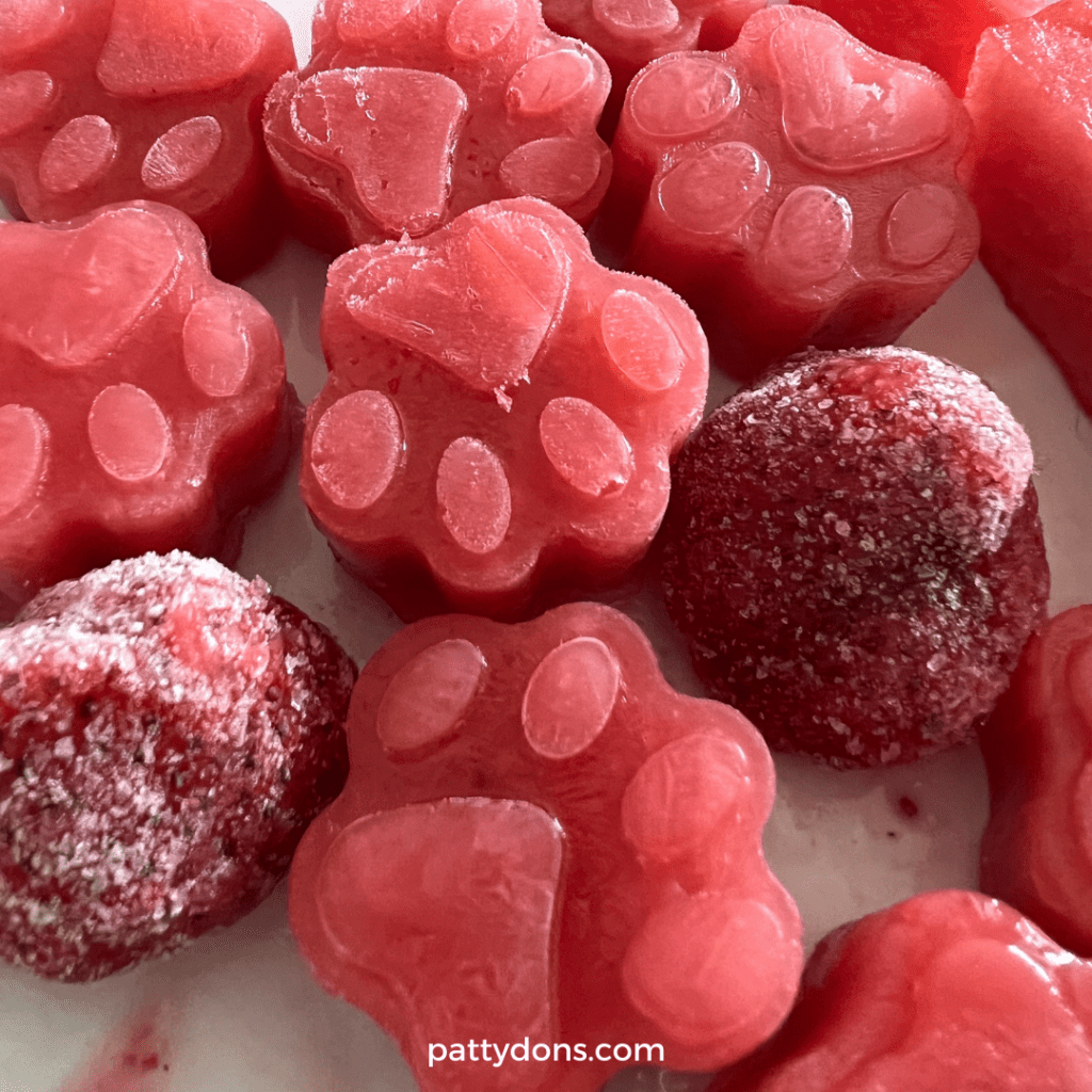 homemade strawberry watermelon frozen dog treats