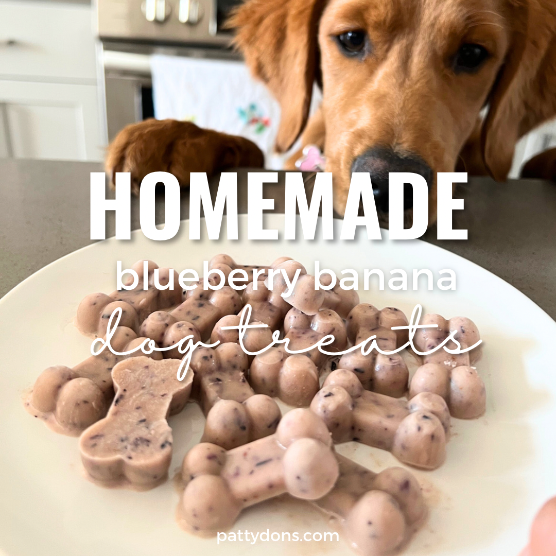 Homemade Dog Treats: Blueberry and Banana Frozen Treats