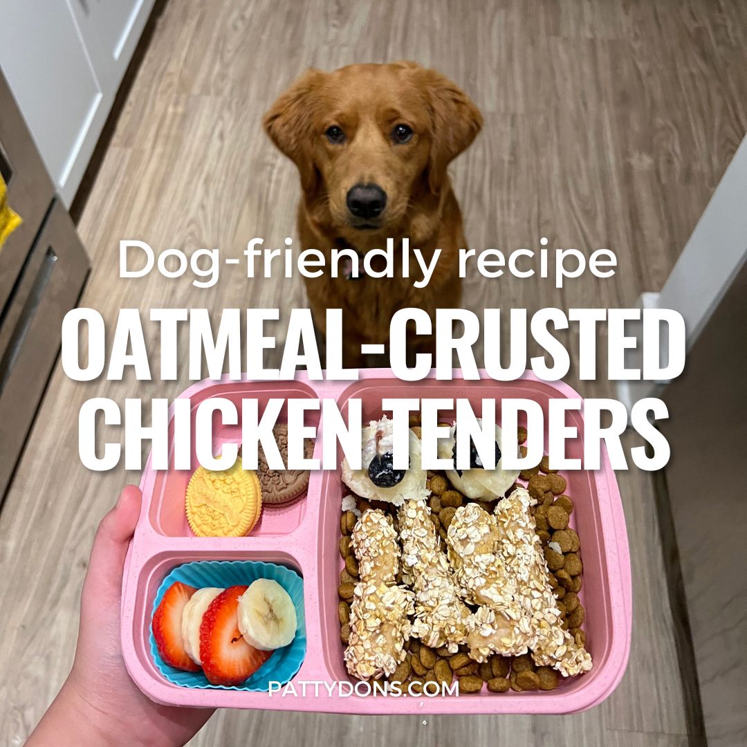 Dog-friendly Recipe: Oatmeal Crusted Chicken